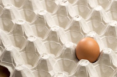 Yumurta depolamak için bir tavuk yumurtası.