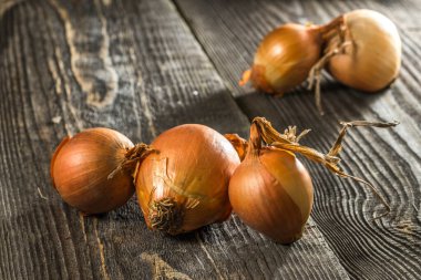 Masada yemek için bir sürü soğan var.