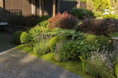 Dekoratif manzara ağaçları ve granit bir yol boyunca uzanan çalılarla dolu özel bir arazinin peyzajı.