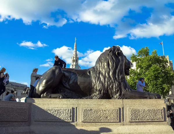 Βερβερικό λιοντάρι στην πλατεία Τραφάλγκαρ, Λονδίνο — Φωτογραφία Αρχείου