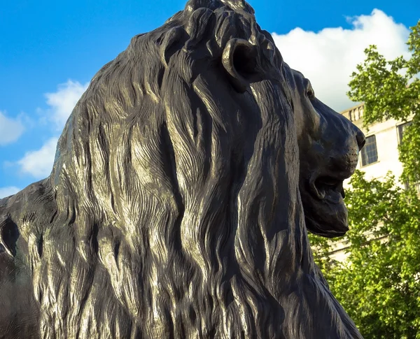 Leone barbaro a Trafalgar Square, Londra — Foto Stock