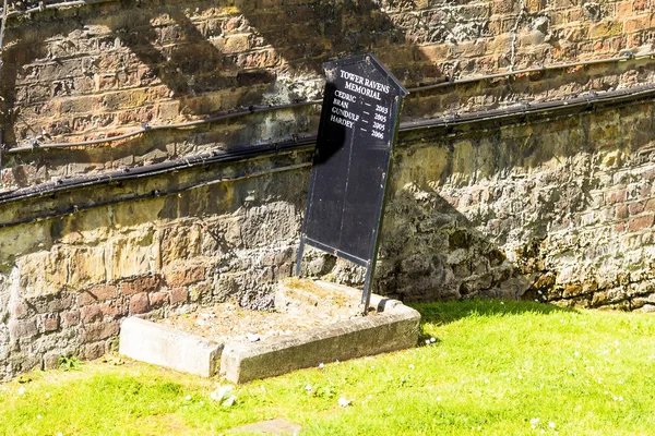 Grave of ravens in the Tower of London. UK — Stock Photo, Image