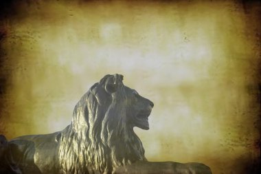 Turuncu grunge zemin üzerine Londra'da Trafalgar Meydanı'nda Barbary aslan