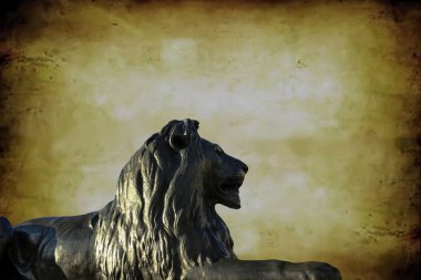 Turuncu grunge zemin üzerine Londra'da Trafalgar Meydanı'nda Barbary aslan