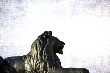 Gri grunge zemin üzerine Londra'da Trafalgar Meydanı'nda Barbary aslan