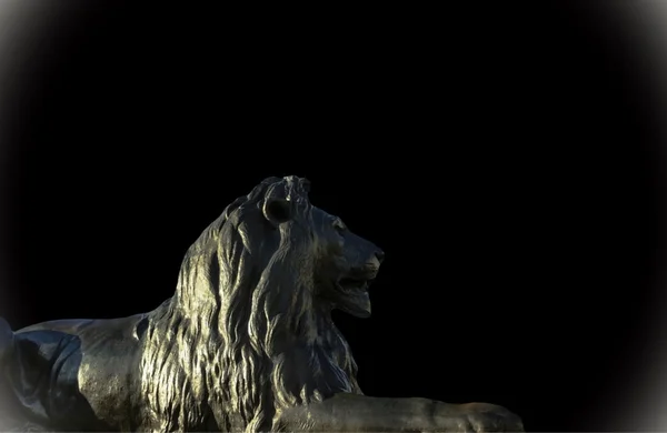 Leone barbaro a Trafalgar Square a Londra su sfondo nero — Foto Stock