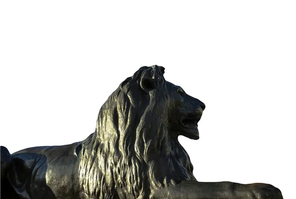 Barbary lion at Trafalgar Square in London on white background — Stock Photo, Image