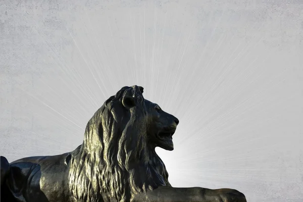 Leão bárbaro na Trafalgar Square, em Londres, em fundo cinza — Fotografia de Stock
