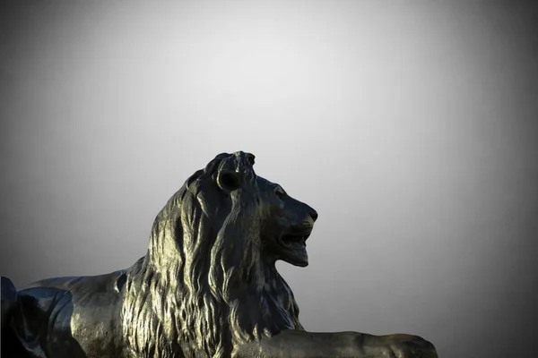 Barbarijse Leeuw op Trafalgar Square in Londen op grijze achtergrond — Stockfoto