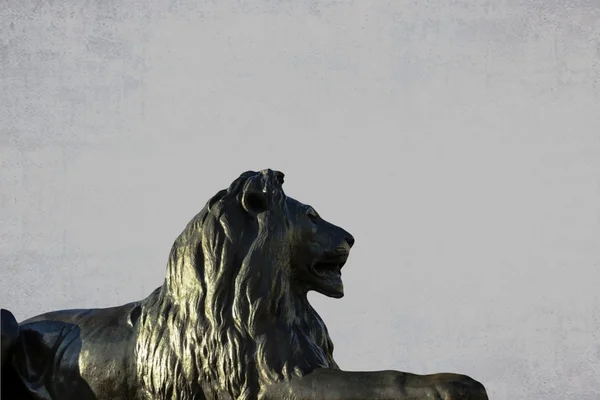 ロンドンのトラファルガー広場で灰色のグランジ背景にバーバリ ライオン — ストック写真