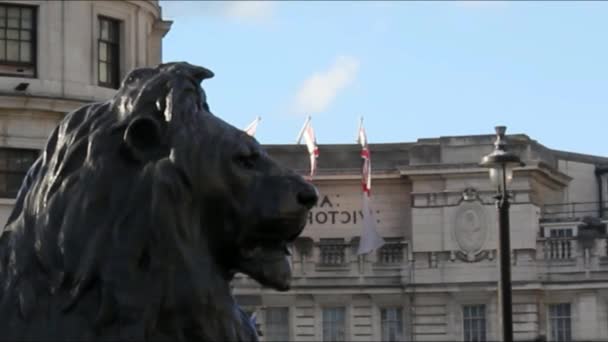 Brązu rzeźba lwa, Trafalgar Square, Londyn — Wideo stockowe