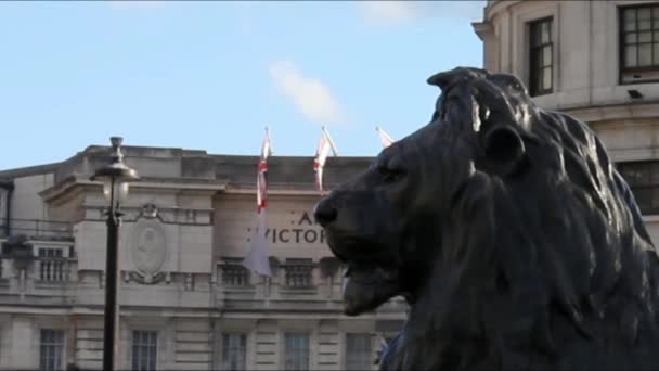 A Trafalgar Square, London berber oroszlán szobor. — Stock videók