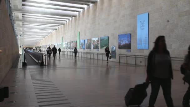 Passageiros não identificados no Aeroporto Internacional Ben Gurion — Vídeo de Stock