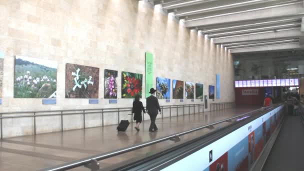 Passageiros não identificados no Aeroporto Internacional Ben Gurion — Vídeo de Stock