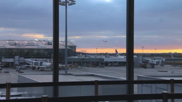 ヒースロー空港で旅客機の着陸。ロンドン。イギリス — ストック動画