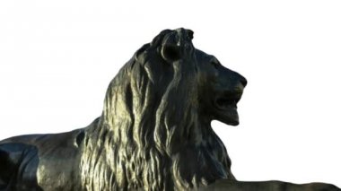 Trafalgar Meydanı'nda Barbary aslan heykeli
