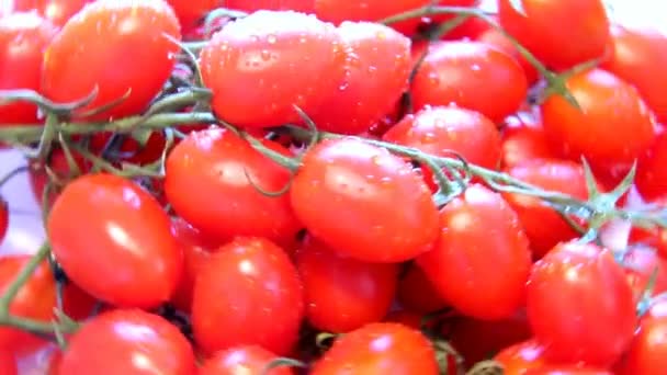 Montón giratorio lento de pequeños tomates cereza — Vídeo de stock
