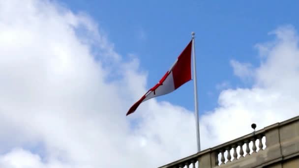 Размахивая канадским флагом против облачного неба — стоковое видео