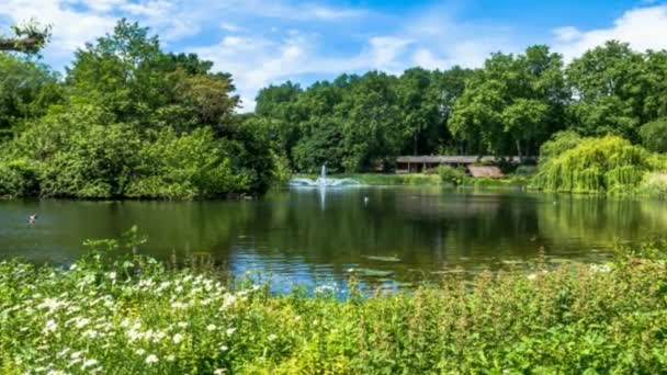 Londra'da mavi gökyüzü arka plan üzerinde St James's Park Gölü. Yakınlaştırma — Stok video