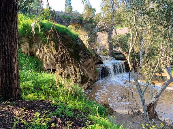 Beit She An山谷的Harod Stream 桉树林中的瀑布和老旧的渡槽 — 图库照片