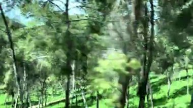 Gilboa Dağı (İsrail) panoramik görünümü, 4K