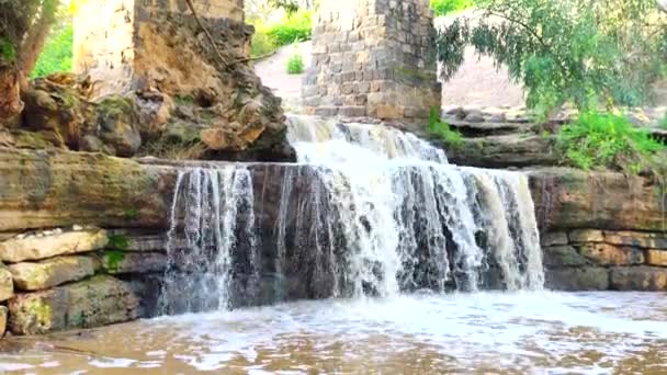 Harod Stream Beit She Valley Vodopád Starý Akvadukt Eukalyptovém Háji — Stock video