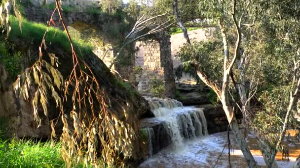 Harod Stream Beit Shean Valley Waterfall Old Aqueduct Eucalyptus Grove — Stock Video