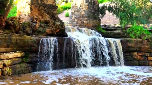 Harod Stream Beit Shean Valley Vodopád Starý Akvadukt Eukalyptovém Háji — Stock video