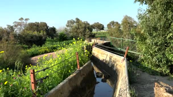 Harod Stream Vale Beit She Velho Aqueduto Israel — Vídeo de Stock