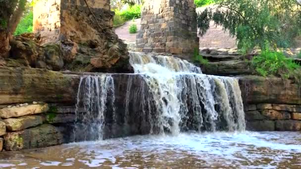 Harod Stream Beit Shean Valley Vodopád Starý Akvadukt Eukalyptovém Háji — Stock video