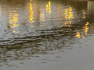 Bahar akşamı nehir yüzeyinde güzel bir yansıma, 4K