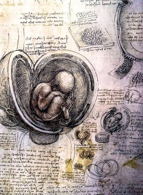 Tel Aviv, İsrail - 6 Mart 2019 Leonardo Da Vinci 'nin Leonardo da Vinci' nin 500 yıllık sergisindeki ana rahminde çiziminin ayrıntıları. İlk girişimci..