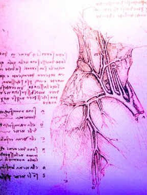 Tel Aviv, İsrail - 6 Mart 2019 Leonardo Da Vinci 'nin Leonardo da Vinci 500' ün sergisindeki insan anatomik kalp ve kan damarlarının kopyası.