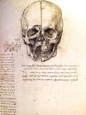 Tel Aviv, İsrail - 6 Mart 2019: Leonardo Da Vinci 'nin Leonardo da Vinci' nin 500 yıllık sergisindeki Kafatası çiziminin kopyası.