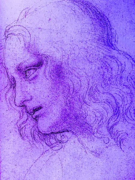 Tel Aviv Israël Maart 2019 Kopie Van Leonardo Vinci Tekening — Stockfoto