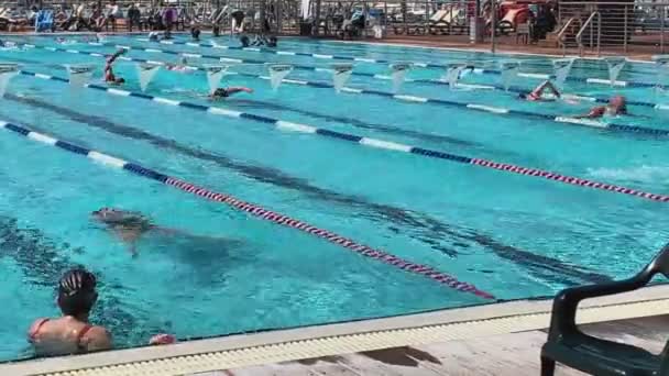 以色列特拉维夫 2019年3月9日 在地中海戈登海滩的室外游泳池游泳 — 图库视频影像