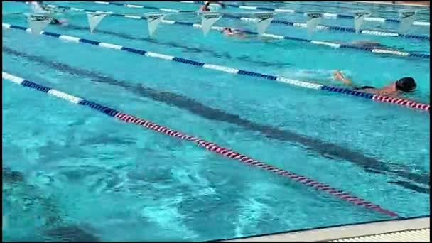 Tel Aviv Israele Marzo 2019 Nuoto Nella Piscina All Aperto — Video Stock