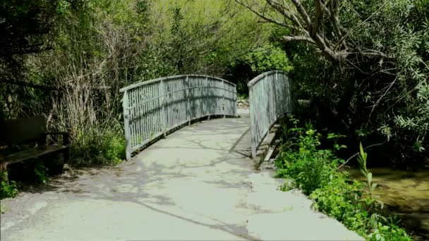 Pont Dessus Ruisseau — Video