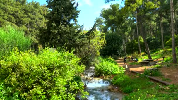 Amirim Israël Avril 2019 Touristes Près Petit Ruisseau Dans Les — Video