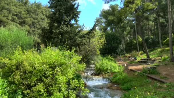 Amirim Israel Abril 2019 Turistas Perto Pequeno Riacho Nas Montanhas — Vídeo de Stock