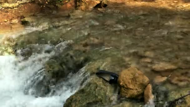 ガリラヤの山の中の小川 イスラエルだ — ストック動画