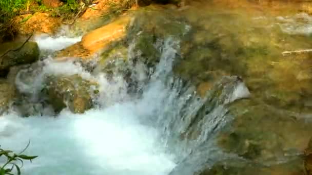 Pequeno Fluxo Nas Montanhas — Vídeo de Stock