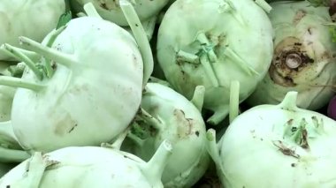 Modern bir süpermarkette rafta duran Kohlrabi. 4K