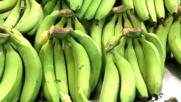 Grandes Bananes Vertes Sur Rack Dans Supermarché Moderne — Video