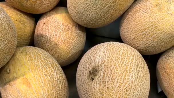 Grands Melons Jaunes Sur Rack Dans Supermarché Moderne — Video