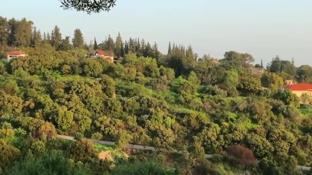 Panorama Alta Galileia Partir Dos Cumes Das Colinas Que Rodeiam — Vídeo de Stock