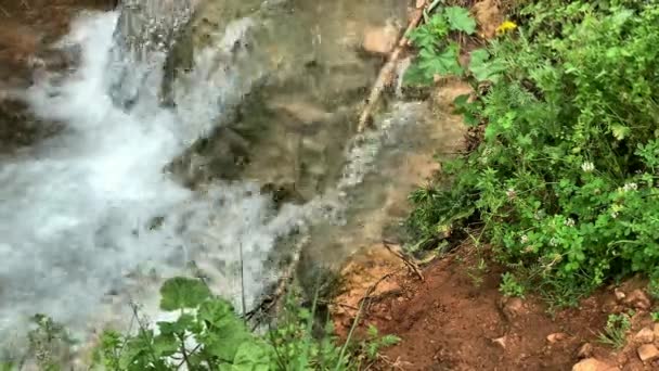 Riacho Nas Montanhas — Vídeo de Stock