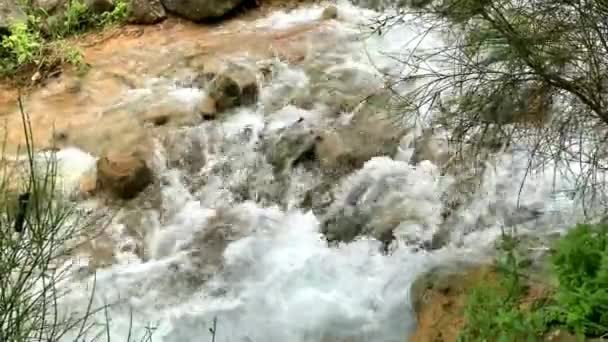 Riacho Nas Montanhas — Vídeo de Stock