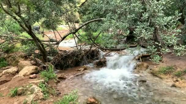 Riacho Nas Montanhas — Vídeo de Stock