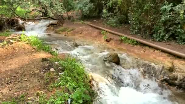 Riacho Nas Montanhas — Vídeo de Stock